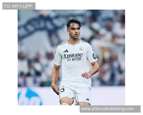 劳尔传奇生涯全面回顾从皇马队魂到足坛精神象征