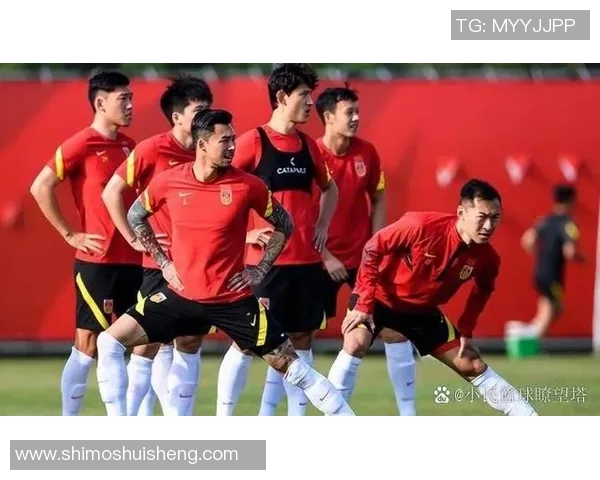 各国足球球星在役状态及未来发展趋势分析 各国足球球星在役状态及未来发展趋势分析