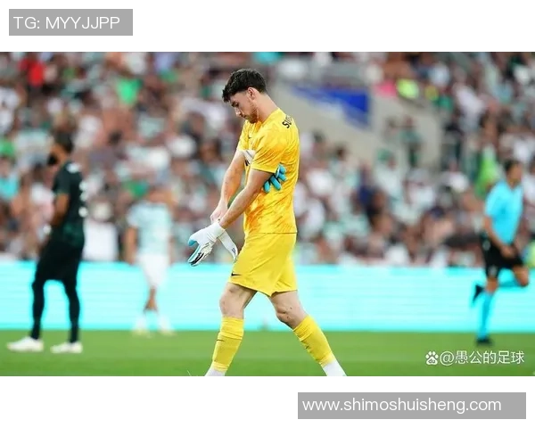 聚焦以色列足球明星推荐，解锁潜力新星与顶级球员的精彩表现