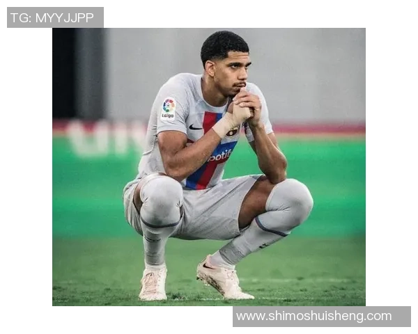 菲利宾足球国家队球星的崛起与挑战：从国内联赛到国际舞台的奋斗之路