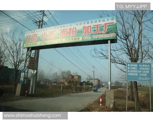 足球巨星荣耀回馈故乡热心公益助力家乡振兴发展